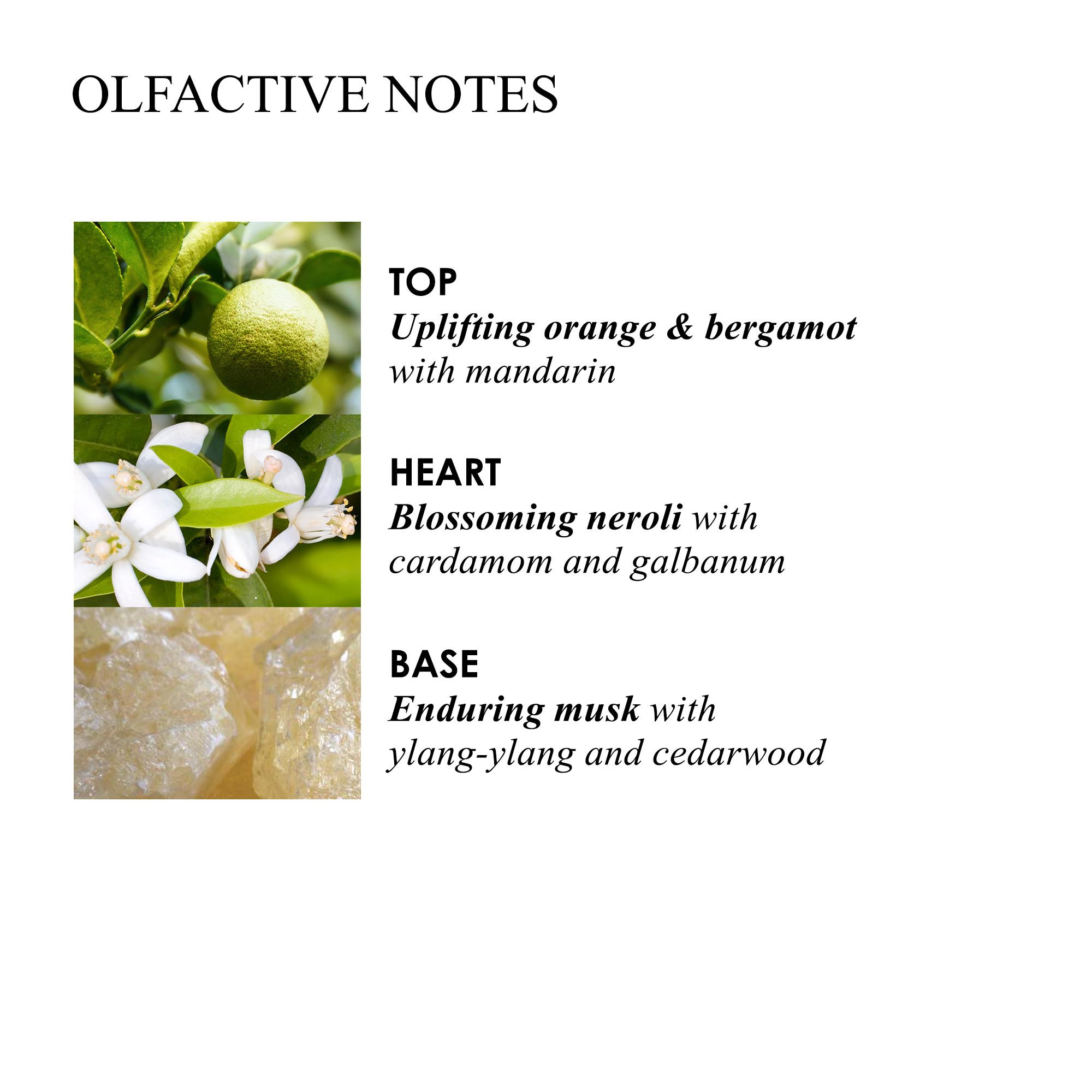 Orange & Bergamot Signature Candle 190g