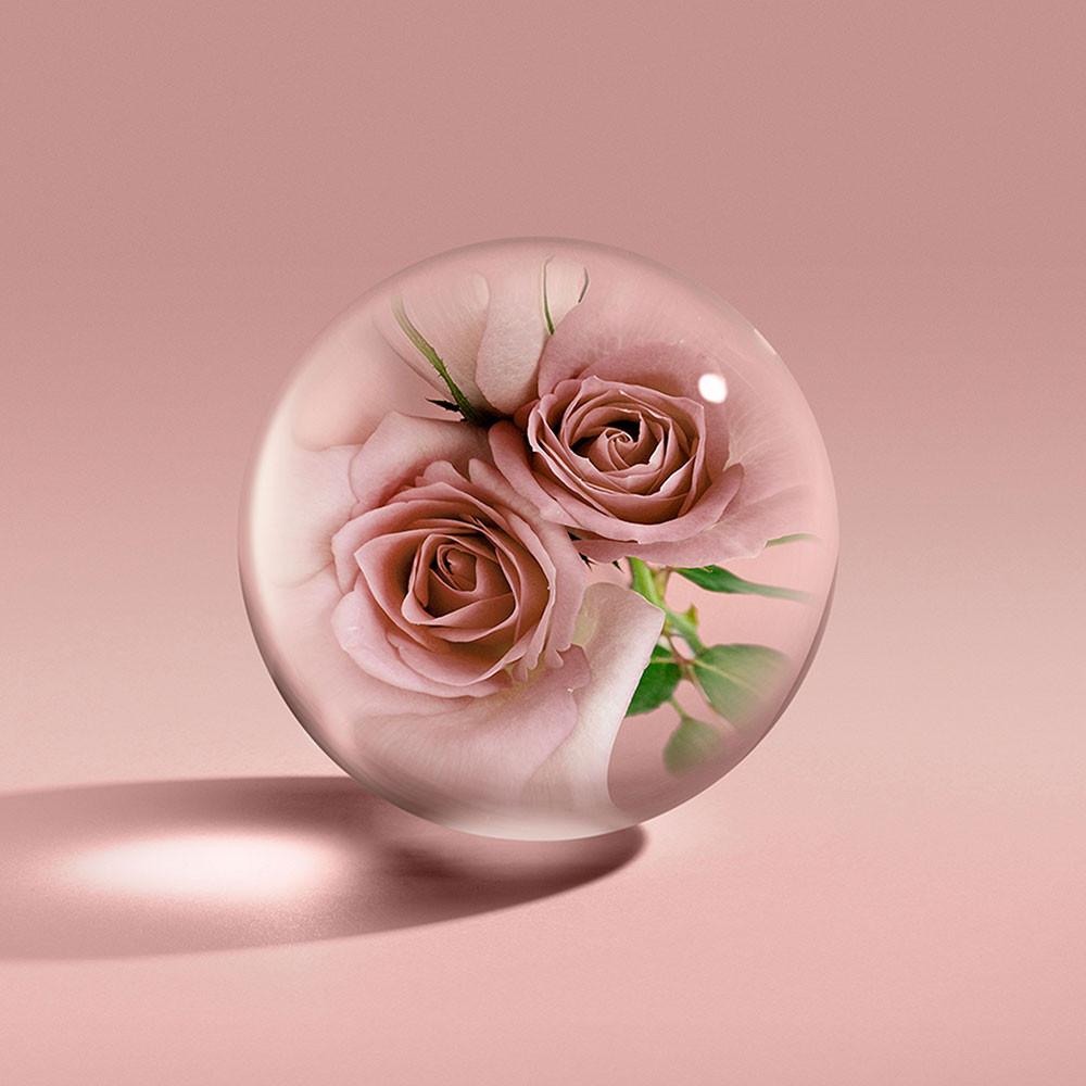 A clear glass sphere with pink roses and green leaves, set on a smooth pink surface with soft lighting, reflects the gentle freshness of Rose Dunes Body Lotion 300ml.